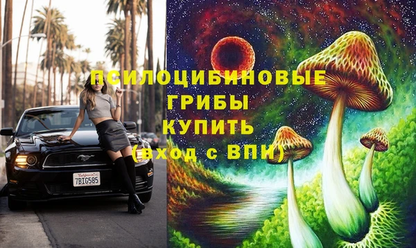 a pvp Кодинск