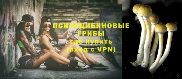 jwh Козельск