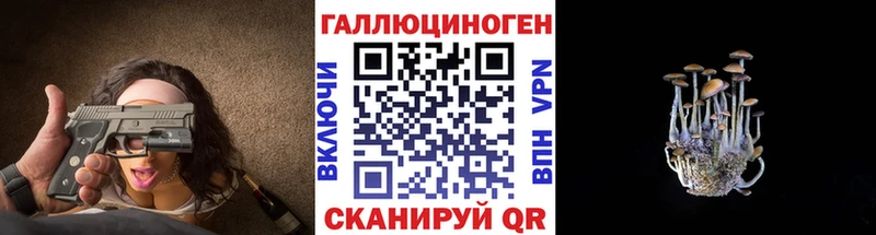 сколько стоит  Талица  Псилоцибиновые грибы Cubensis 