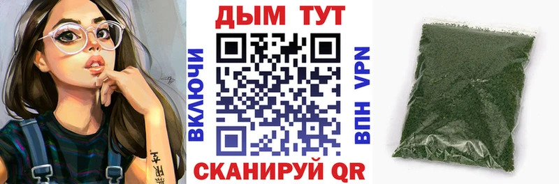 наркотики  Талица  mega сайт  Бошки марихуана планчик 